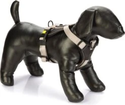 Beeztees Hondentuig Parinca Premium Grijs 53-65 X 2,5 Cm