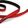 Beeztees Hondenriem Parinca Premium Rood 180 X 2,5 Cm -Dierenwinkel Met Korting 8712695184171