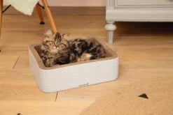 Beeztees Krabmeubel Kero Blauw 40 X 31 X 12 Cm -Dierenwinkel Met Korting 8712695185727 4