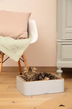 Beeztees Krabmeubel Kero Blauw 40 X 31 X 12 Cm -Dierenwinkel Met Korting 8712695185727 5