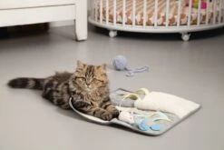 Beeztees Kattenspeelgoed Speelmat Weezy Grijs 40 X 40 X 1 Cm -Dierenwinkel Met Korting 8712695185796 3