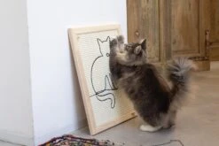 Designed By Lotte Krabplank Sammy Bruin 50 X 40 X 2 Cm -Dierenwinkel Met Korting 8712695193296 4