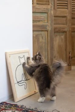 Designed By Lotte Krabplank Sammy Bruin 50 X 40 X 2 Cm -Dierenwinkel Met Korting 8712695193296 5