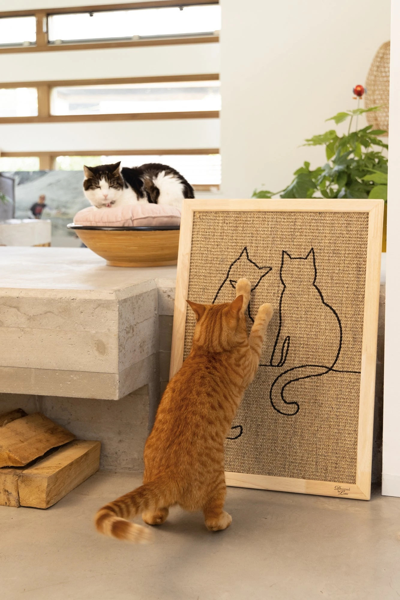 Designed By Lotte Krabplank Poezels Bruin 70 X 50 X 2 Cm 7 Designed By Lotte Krabplank Poezels Bruin 70 X 50 X 2 Cm - Afbeelding 5