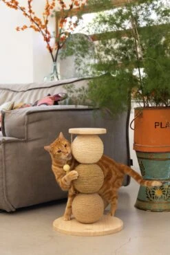 Designed By Lotte Krabbollen Elio Bruin D 34 H 47,5 Cm 11 Designed By Lotte Krabbollen Elio Bruin D 34 H 47,5 Cm -Dierenwinkel Met Korting 8712695193326 5