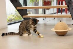 Designed By Lotte Krabbol Balty Bruin D 29,5 H 20 Cm -Dierenwinkel Met Korting 8712695193333 4