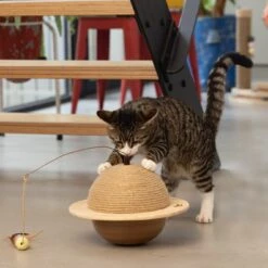 Designed By Lotte Krabbol Balty Bruin D 29,5 H 20 Cm -Dierenwinkel Met Korting 8712695193333 5