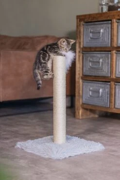 Beeztees Krabpaal Atila Grijs 35 X 35 X 53 Cm -Dierenwinkel Met Korting 8712695193647 5