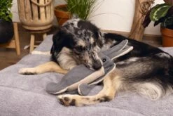 Beeztees Hondenspeelgoed Minus One Inktvis Grijs/beige 56 X 10 X 9 Cm -Dierenwinkel Met Korting 8712695197102 3