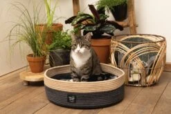 Beeztees Kattenmand Minus One Xana Grijs/bruin D 45 H 14 Cm -Dierenwinkel Met Korting 8712695197188 7