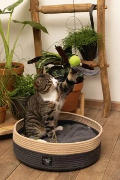 Beeztees Kattenmand Minus One Xana Grijs/bruin D 45 H 14 Cm -Dierenwinkel Met Korting 8712695197188 8