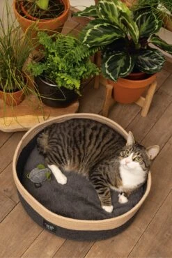 Beeztees Kattenmand Minus One Xana Grijs/bruin D 45 H 14 Cm -Dierenwinkel Met Korting 8712695197188 9