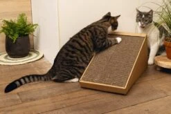 Beeztees Krabplank Minus One Bruin 49 X 25 X 24,5 Cm -Dierenwinkel Met Korting 8712695197218 5