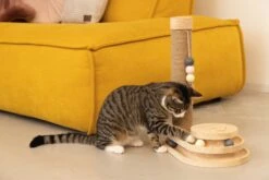 Designed By Lotte Krabpaal Inez Bruin 38 X 24,5 X 47,5 Cm 11 Designed By Lotte Krabpaal Inez Bruin 38 X 24,5 X 47,5 Cm -Dierenwinkel Met Korting 8712695197669 4