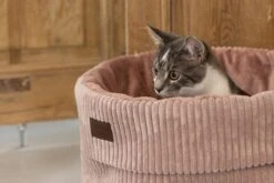 Designed By Lotte Kattenmand Roze D 50 H 35 Cm -Dierenwinkel Met Korting 8712695197805 11