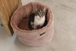 Designed By Lotte Kattenmand Roze D 50 H 35 Cm -Dierenwinkel Met Korting 8712695197805 9