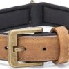 Beeztees Hondenhalsband Balacron Ax Bruin 38-48 X 2,5 Cm -Dierenwinkel Met Korting 8712695198468 0