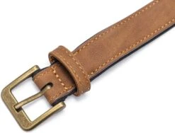 Beeztees Hondenhalsband Balacron Ax Bruin 38-48 X 2,5 Cm -Dierenwinkel Met Korting 8712695198468 2