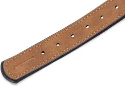 Beeztees Hondenhalsband Balacron Ax Bruin 43-53 X 2,5 Cm -Dierenwinkel Met Korting 8712695198475 6