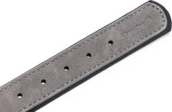 Beeztees Hondenhalsband Balacron Ax Grijs 38-48 X 2,5 Cm -Dierenwinkel Met Korting 8712695198703 3