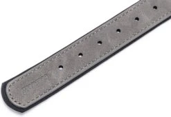 Beeztees Hondenhalsband Balacron Ax Grijs 38-48 X 2,5 Cm -Dierenwinkel Met Korting 8712695198703 4