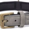 Beeztees Hondenhalsband Balacron Ax Grijs 43-53 X 2,5 Cm -Dierenwinkel Met Korting 8712695198710 0