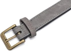 Beeztees Hondenhalsband Balacron Ax Grijs 43-53 X 2,5 Cm -Dierenwinkel Met Korting 8712695198710 4