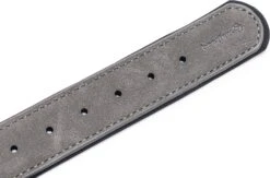 Beeztees Hondenhalsband Balacron Ax Grijs 52-62 X 3 Cm -Dierenwinkel Met Korting 8712695198734 4