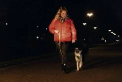 Beeztees Hondenriem Parinca Premium Geel 150 X 2,5 Cm -Dierenwinkel Met Korting 8712695200499 13