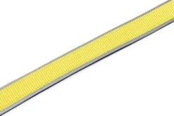 Beeztees Hondenriem Parinca Premium Geel 150 X 2,5 Cm -Dierenwinkel Met Korting 8712695200499 3