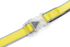 Beeztees Hondenriem Parinca Premium Geel 150 X 2,5 Cm -Dierenwinkel Met Korting 8712695200499 5