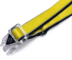 Beeztees Hondenriem Parinca Premium Geel 150 X 2,5 Cm -Dierenwinkel Met Korting 8712695200499 6