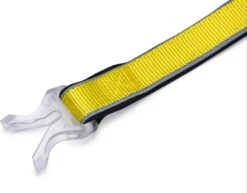 Beeztees Hondenriem Parinca Premium Geel 150 X 2,5 Cm -Dierenwinkel Met Korting 8712695200499 8