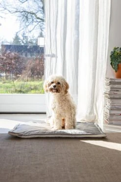 Designed By Lotte Benchkussen Gisel Grijs 62 X 44 X 4 Cm -Dierenwinkel Met Korting 8712695202530 6