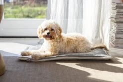 Designed By Lotte Benchkussen Gisel Grijs 62 X 44 X 4 Cm -Dierenwinkel Met Korting 8712695202530 7