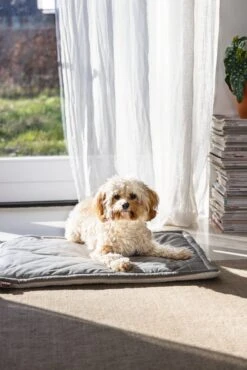 Designed By Lotte Benchkussen Gisel Grijs 62 X 44 X 4 Cm -Dierenwinkel Met Korting 8712695202530 8