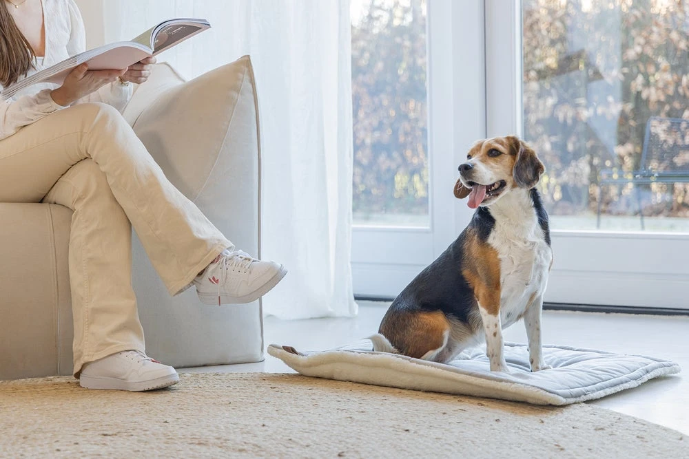 Designed By Lotte Benchkussen Gisel Grijs 89 X 60 X 6 Cm 8 Designed By Lotte Benchkussen Gisel Grijs 89 X 60 X 6 Cm - Afbeelding 6