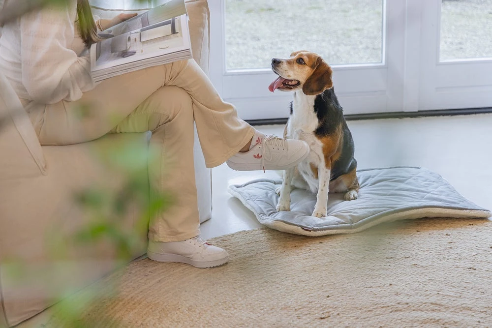 Designed By Lotte Benchkussen Gisel Grijs 89 X 60 X 6 Cm 9 Designed By Lotte Benchkussen Gisel Grijs 89 X 60 X 6 Cm - Afbeelding 7