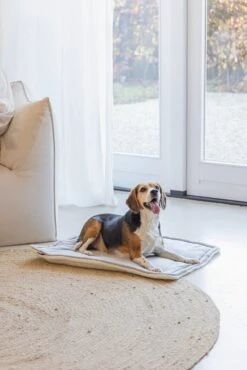 Designed By Lotte Benchkussen Gisel Grijs 89 X 60 X 6 Cm 18 Designed By Lotte Benchkussen Gisel Grijs 89 X 60 X 6 Cm -Dierenwinkel Met Korting 8712695202554 8