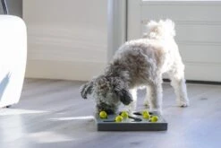 Beeztees Hondenspeelgoed Brain Game Looki Grijs 28 X 28 X 4,5 Cm -Dierenwinkel Met Korting 8712695202769 3