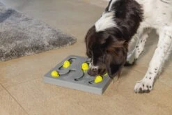 Beeztees Hondenspeelgoed Brain Game Looki Grijs 28 X 28 X 4,5 Cm -Dierenwinkel Met Korting 8712695202769 4