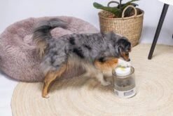 Beeztees Hondenspeelgoed Brain Game Delicious Grijs 28 X 28 X 4,5 Cm 24 Beeztees Hondenspeelgoed Brain Game Delicious Grijs 28 X 28 X 4,5 Cm -Dierenwinkel Met Korting 8712695202783 10