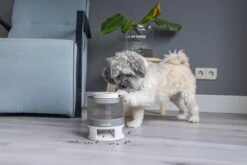 Beeztees Hondenspeelgoed Brain Game Delicious Grijs 28 X 28 X 4,5 Cm 26 Beeztees Hondenspeelgoed Brain Game Delicious Grijs 28 X 28 X 4,5 Cm -Dierenwinkel Met Korting 8712695202783 12