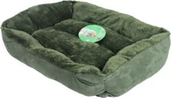 Boon Honden- En Kattenmand Divan Groen 50 X 40 X 15 Cm -Dierenwinkel Met Korting 8712901076900 3