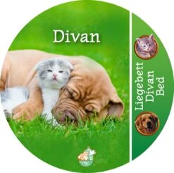 Boon Honden- En Kattenmand Divan Groen 50 X 40 X 15 Cm -Dierenwinkel Met Korting 8712901076900 5