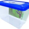 Penn-Plax Penn Plax Aquarium Blauw 15 L 2 Penn-Plax Penn Plax Aquarium Blauw 15 L -Dierenwinkel Met Korting 8712901079031 1