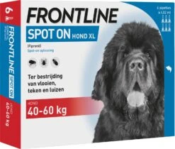 Frontline Spot On Hond XL 40-60 Kg 6 Stuks