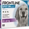 Frontline Teken- En Vlooiendruppels Spot-on Hond L 20-40 Kg 4 Stuks -Dierenwinkel Met Korting 8713942401669 1