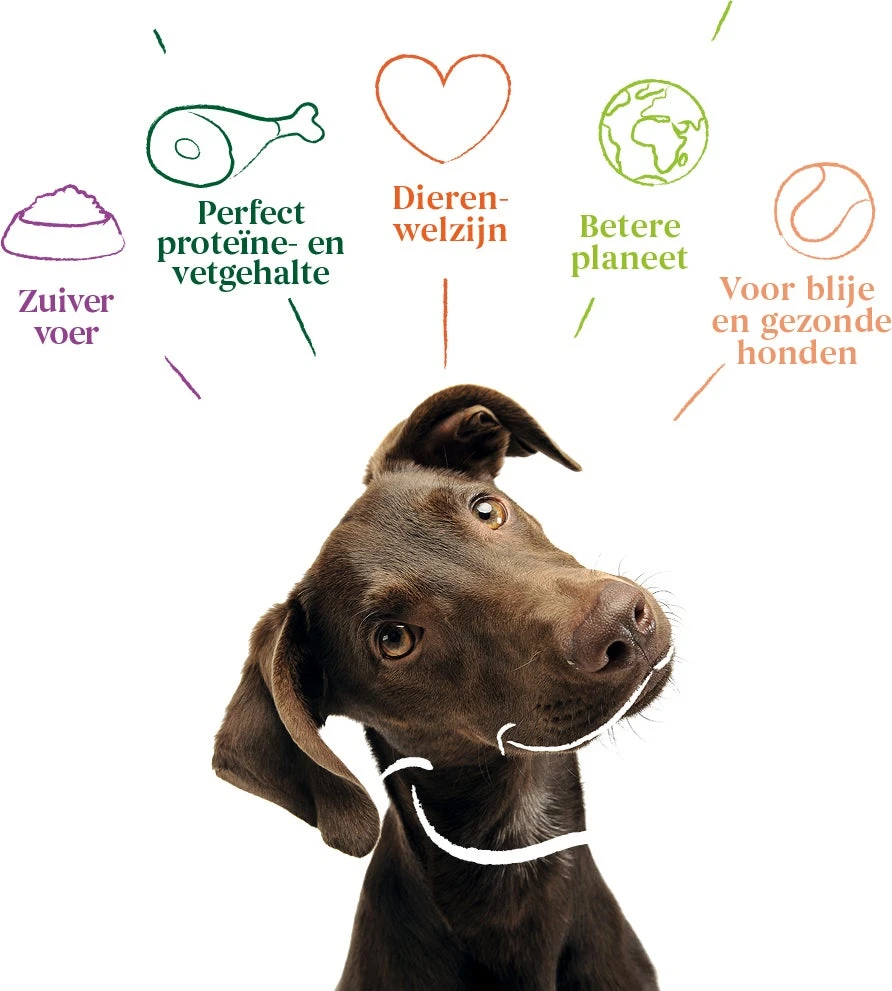 Yarrah Biologisch Hondenvoer Graanvrij Adult Kip 2 Kg 4 Yarrah Biologisch Hondenvoer Graanvrij Adult Kip 2 Kg - Afbeelding 2