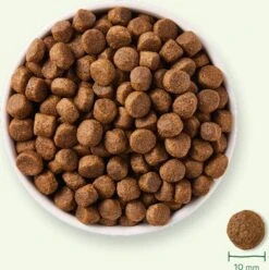 Yarrah Biologisch Hondenvoer Graanvrij Adult Kip 2 Kg 16 Yarrah Biologisch Hondenvoer Graanvrij Adult Kip 2 Kg -Dierenwinkel Met Korting 8714265000287 7 1
